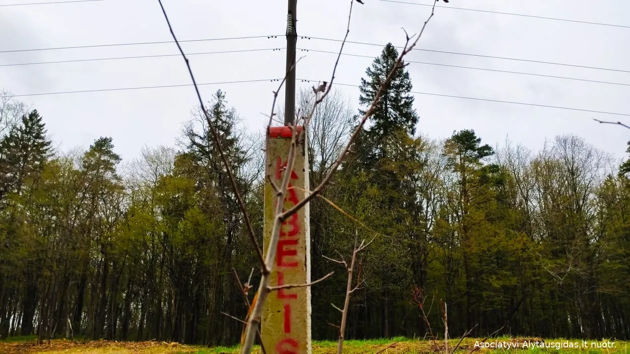 183002302 907861106613664 2036107174358386536 n