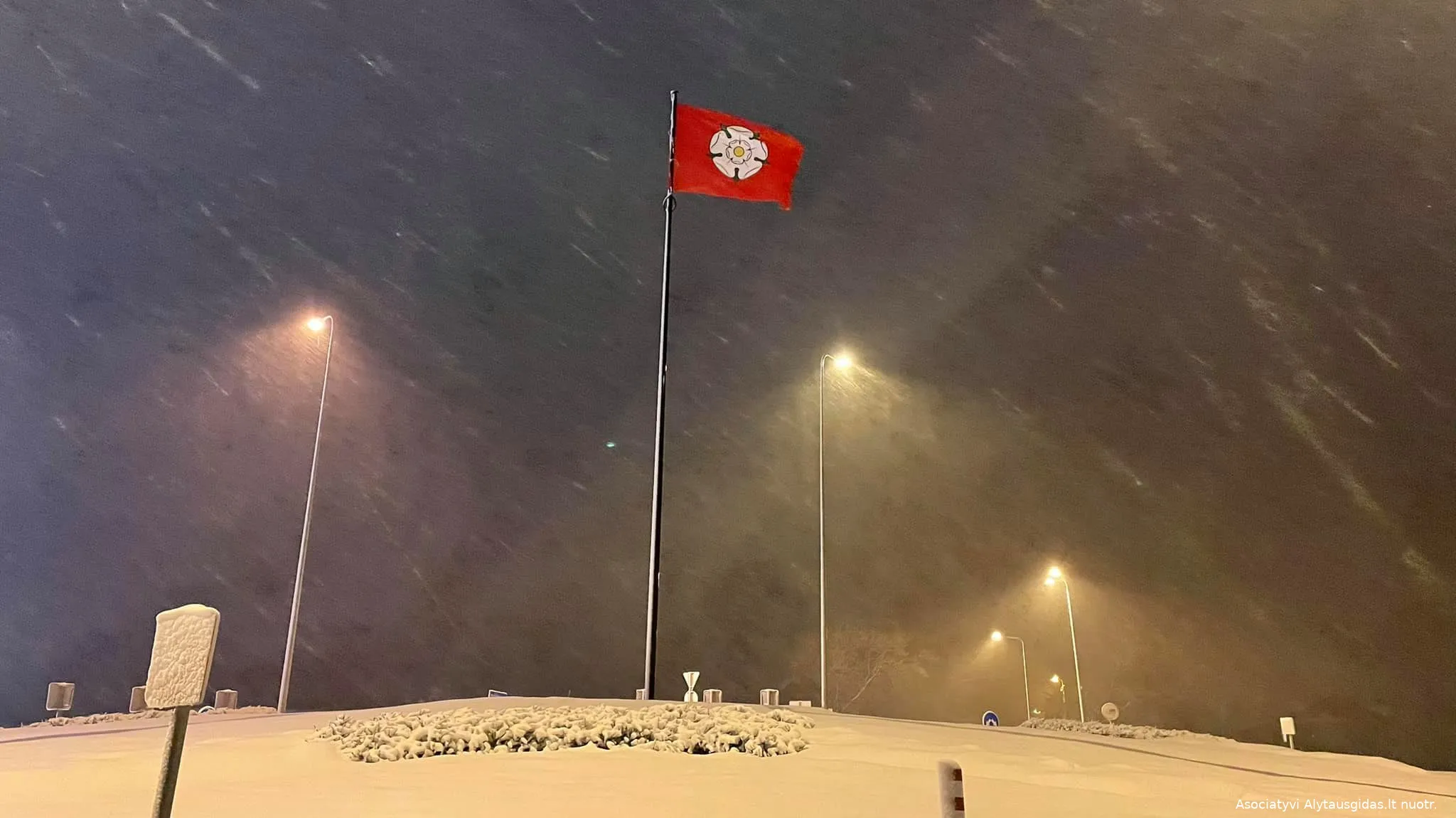 alygve143084762 4173326309361891 7788090755465418077 o