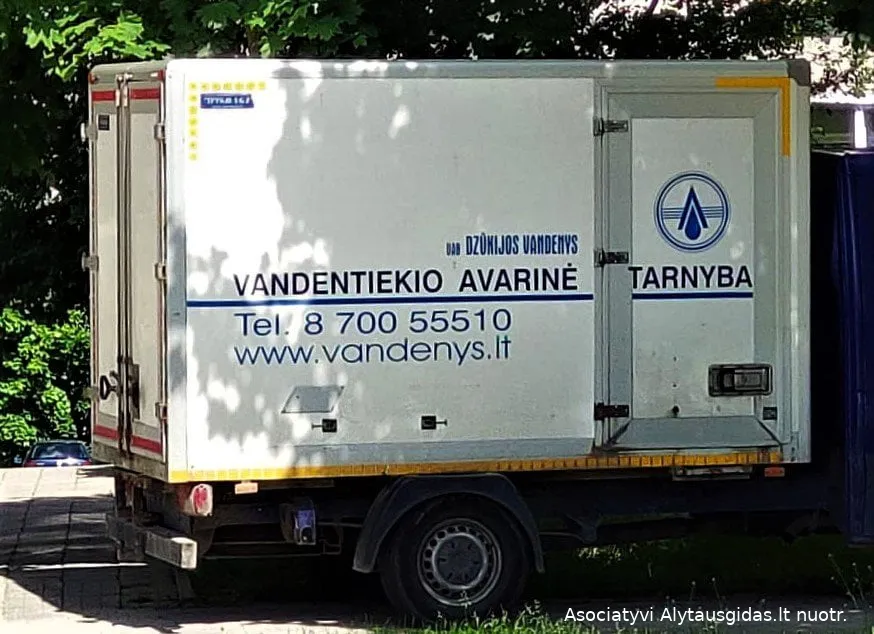 dzuva200406240 524972615529277 3423136447019762516 n