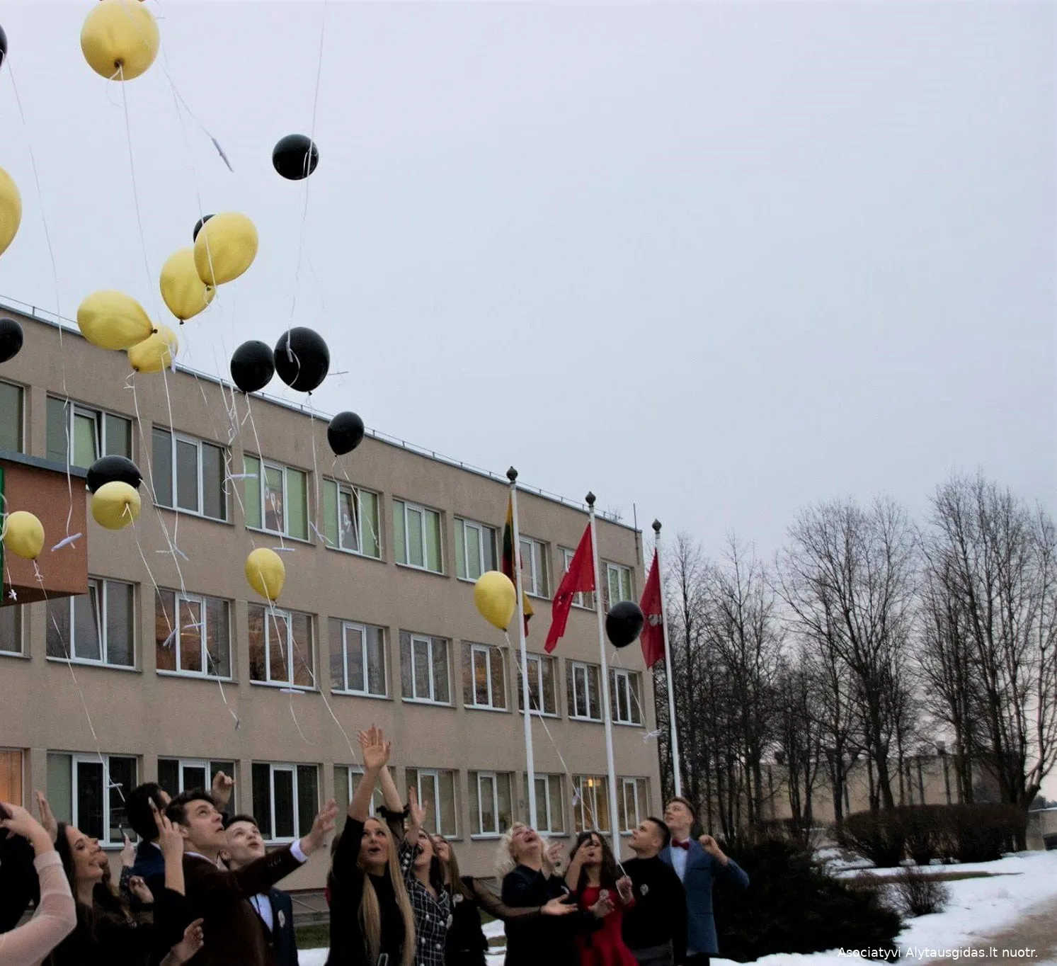 jotvrisssnk52156700 2048227445232103 3446727661815070720 o1