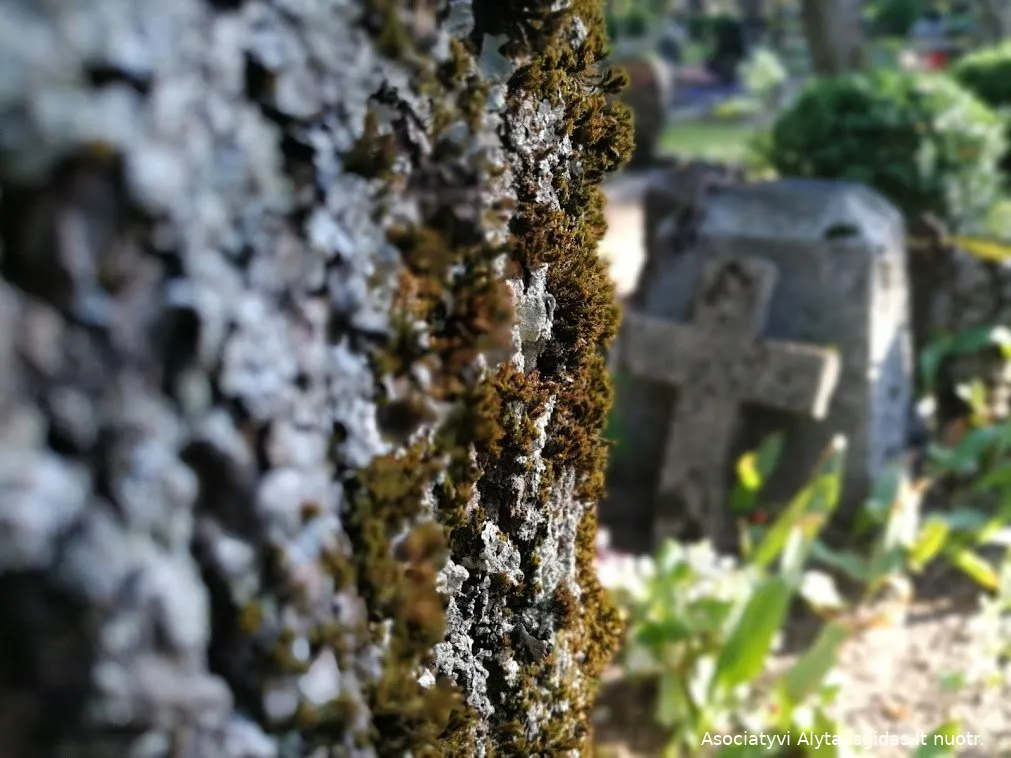 kapimg 20190905 174409