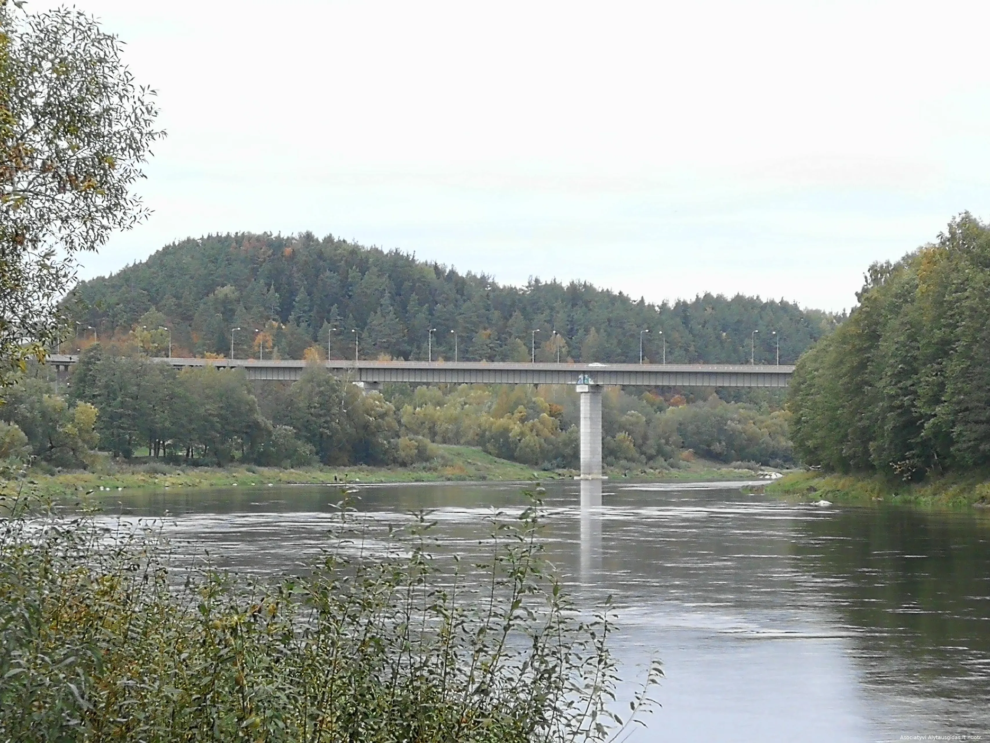 nemunimg 20191008 145220