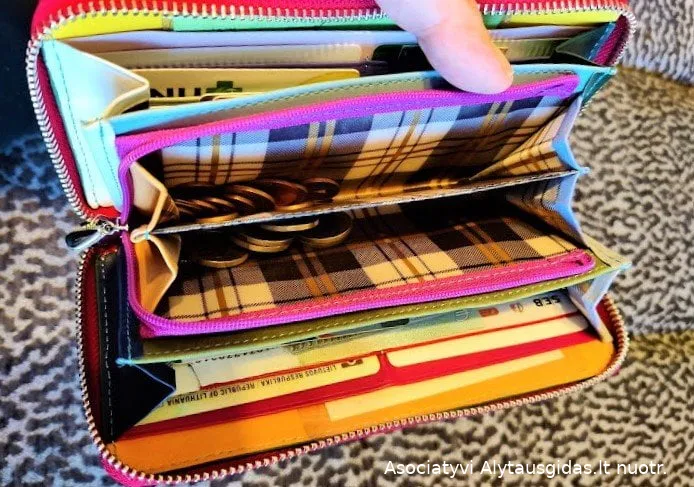 pinigimg 20210303 165202ds