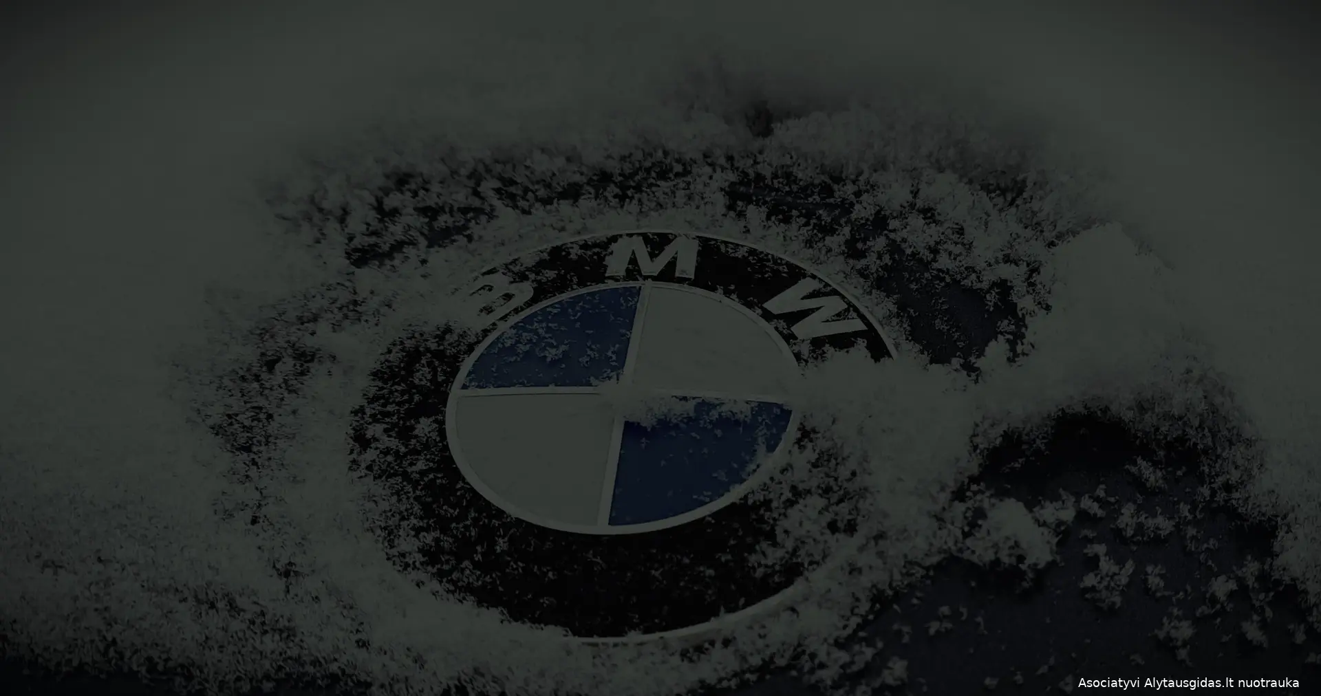 bmw1702215099694