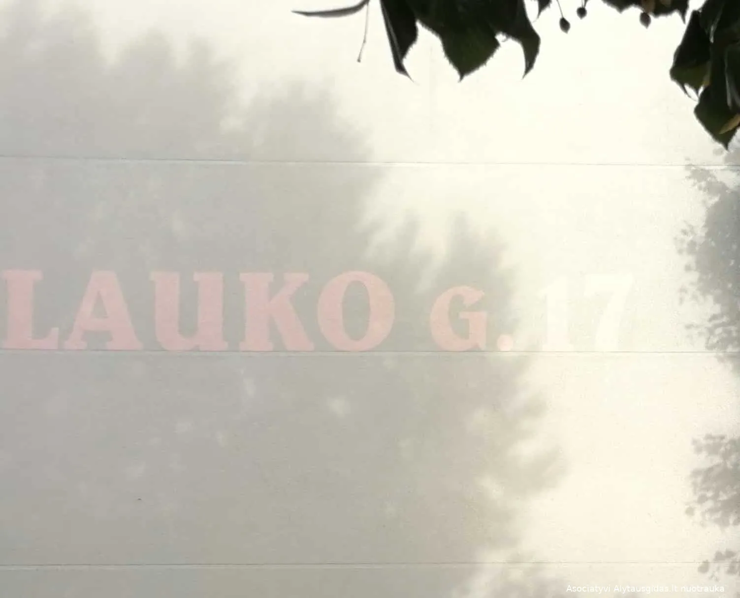 img 20181003 154315 1