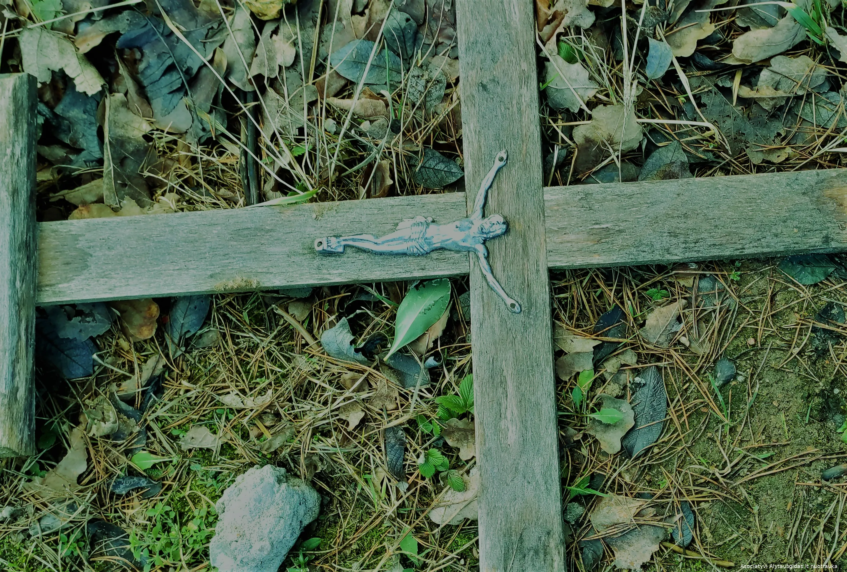 kryzimg 20200112 124428