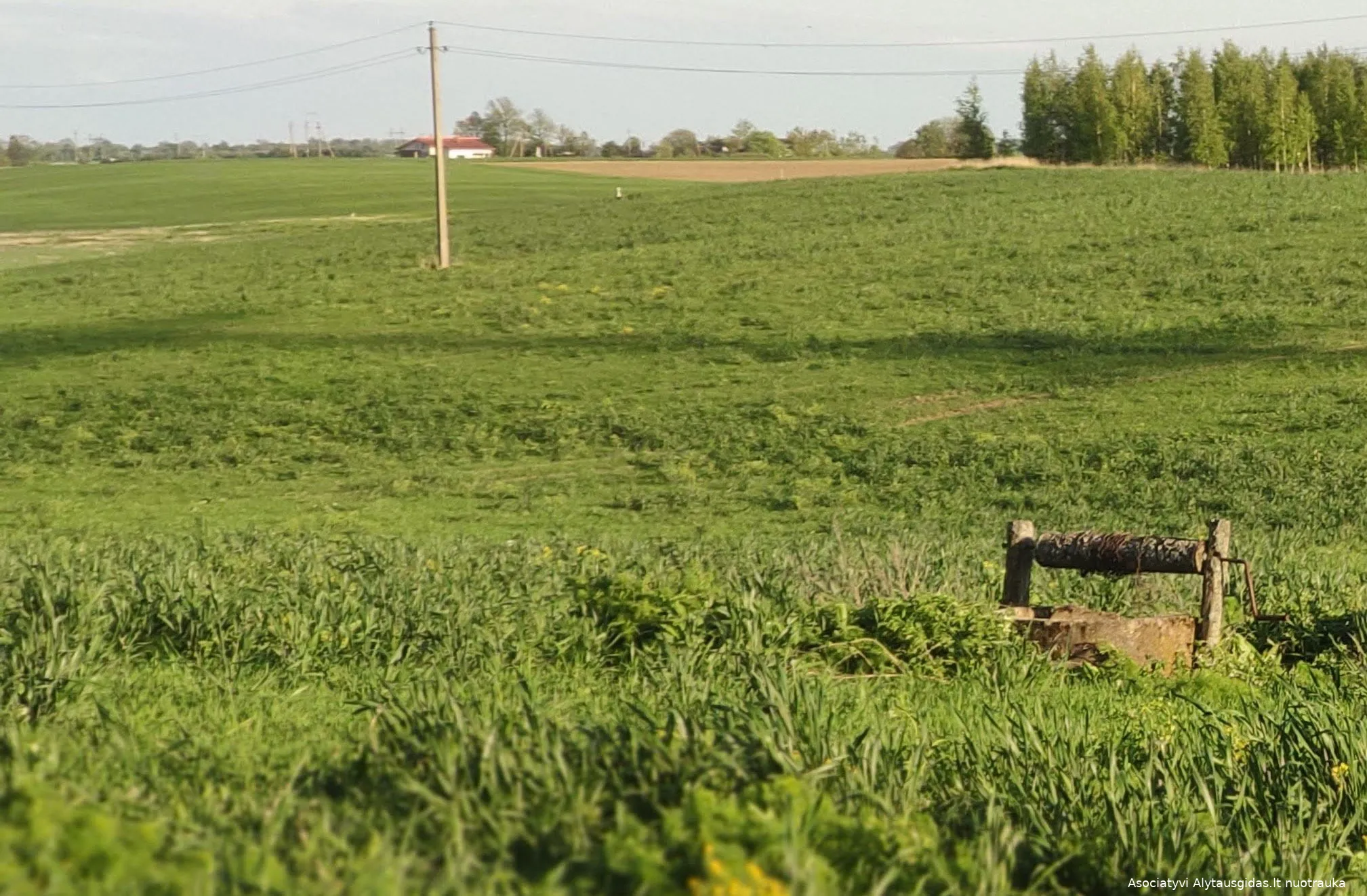 sulinimg 20200527 195046