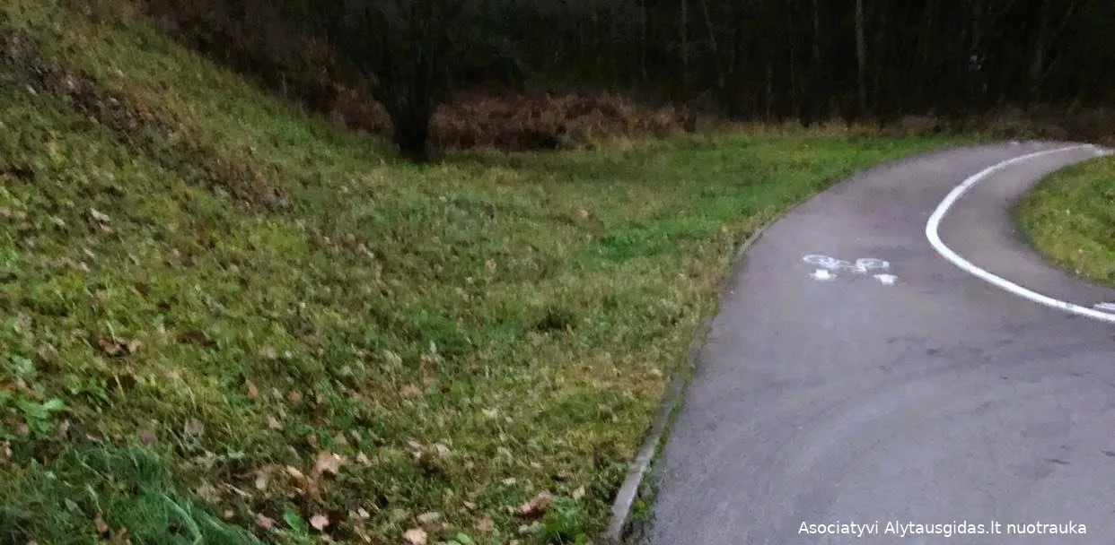 vaziavimo sveikatingumo taku pasekmes