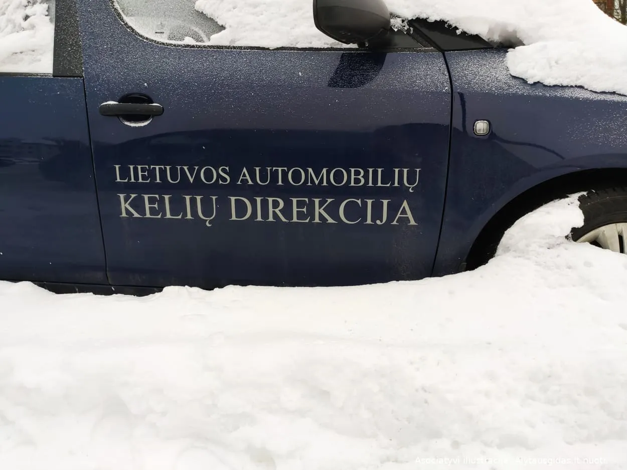 155363577 253614619634474 7722541062380413778 n