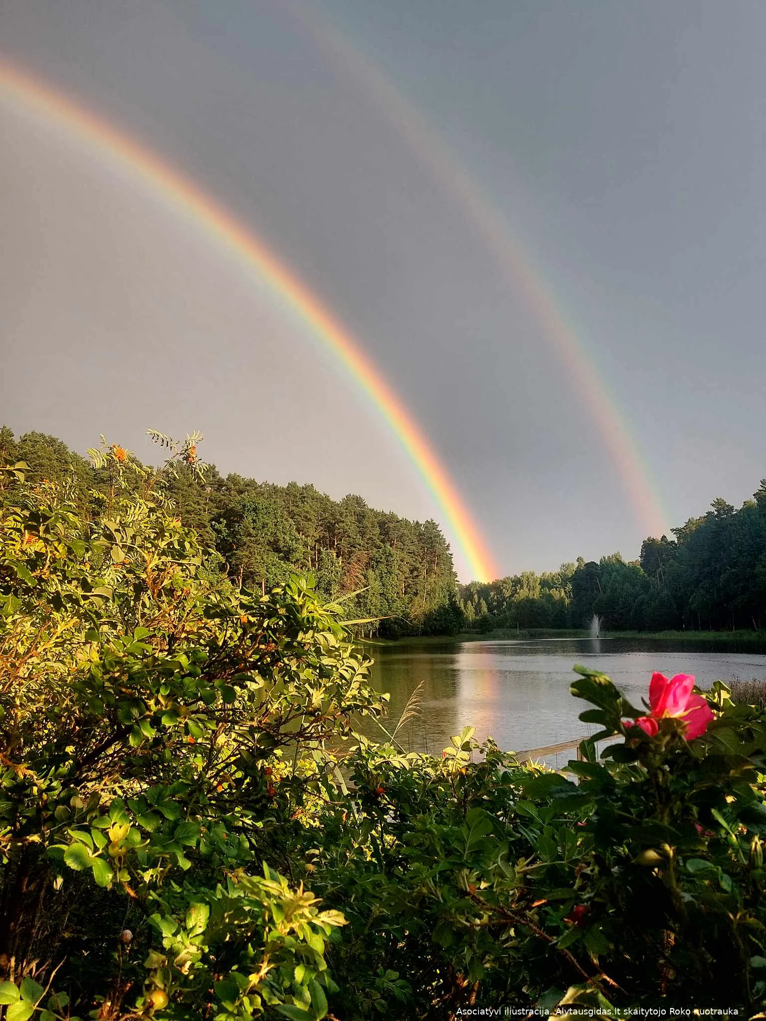 received 610584974541462