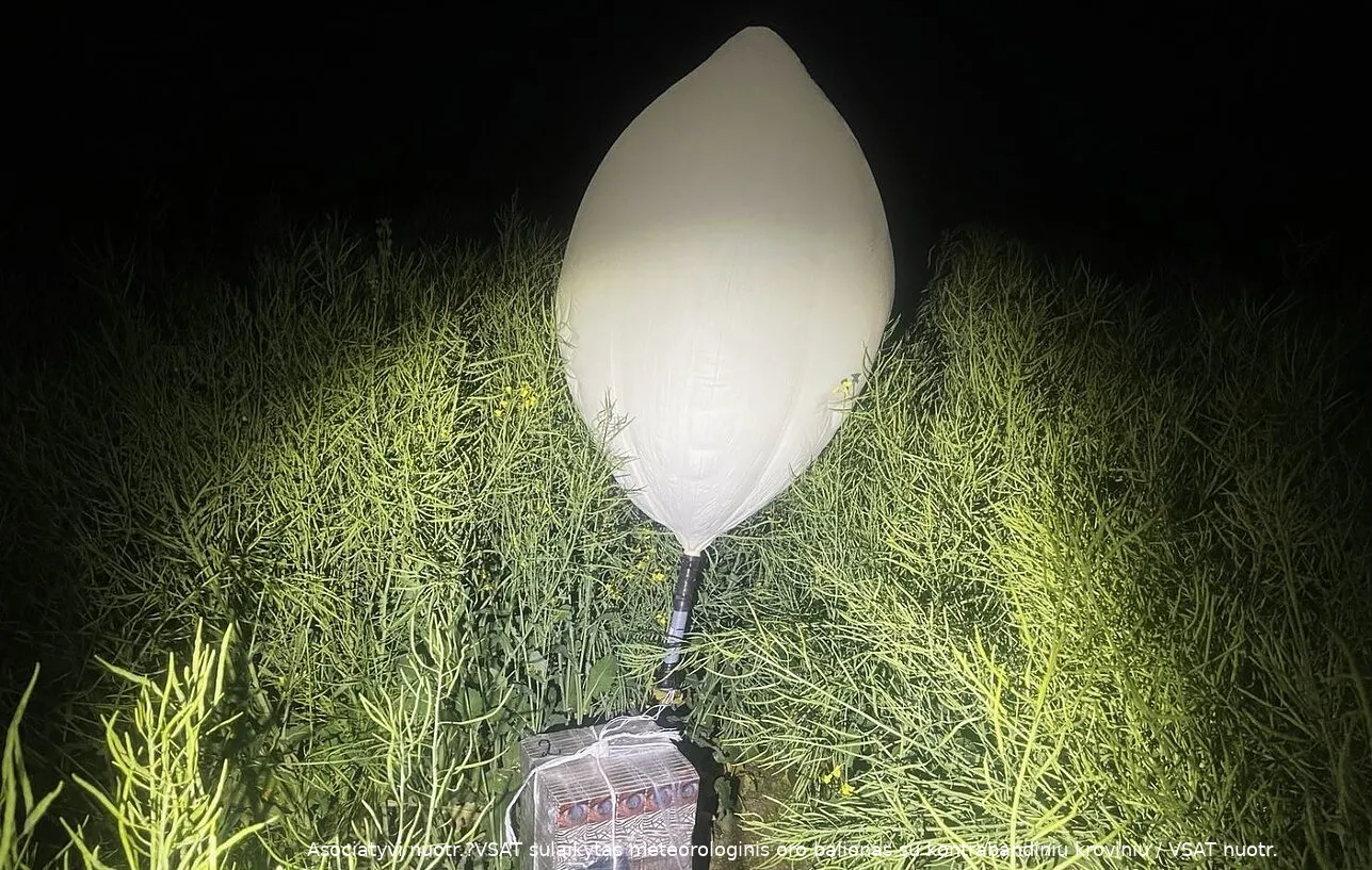 1795804 188270 1287x836 1