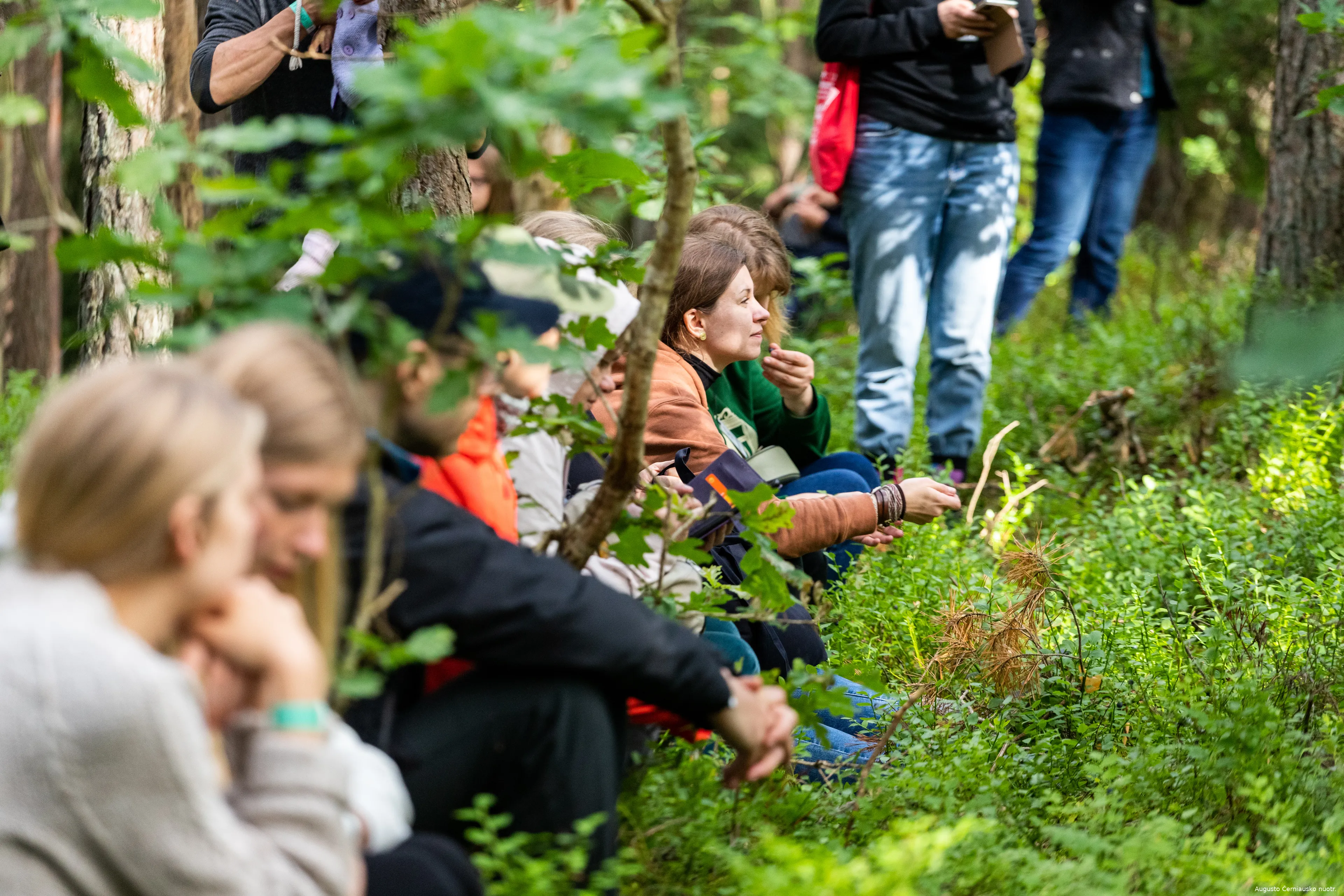 uzkandziai pakeliui prie vincuko azuolo 2022 subartonys aut augustas cerniauskas