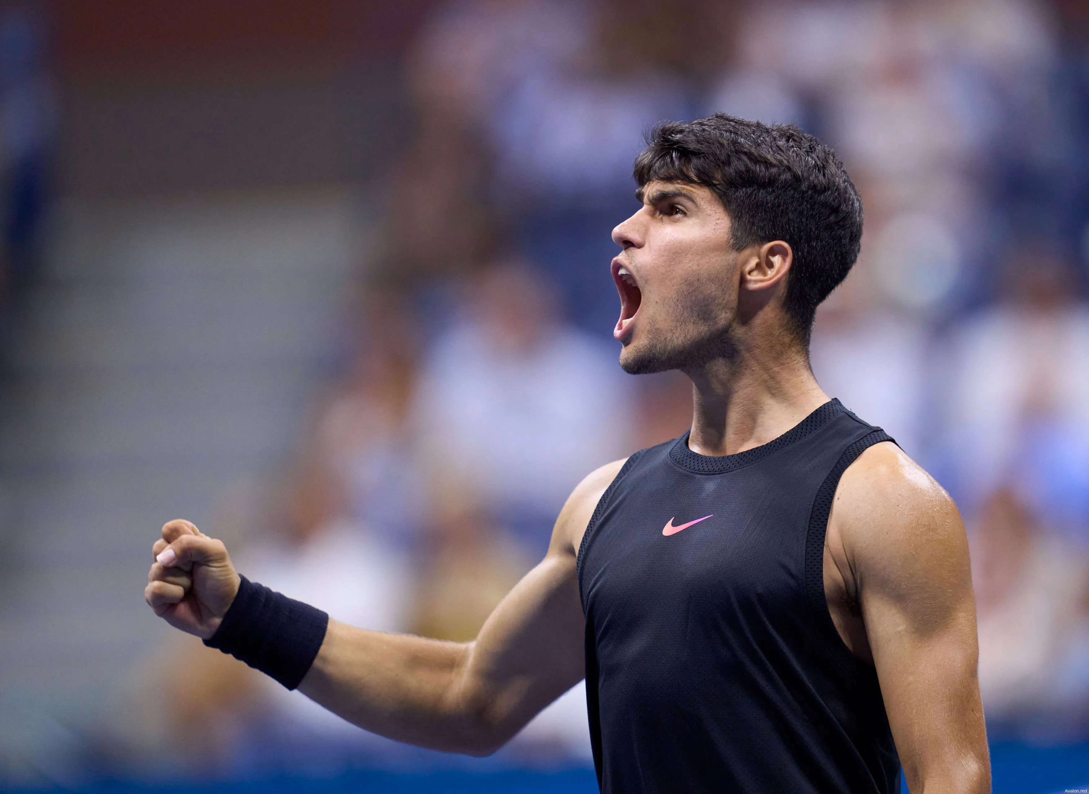 alcaraz carlos usopen24 imagoavalonred