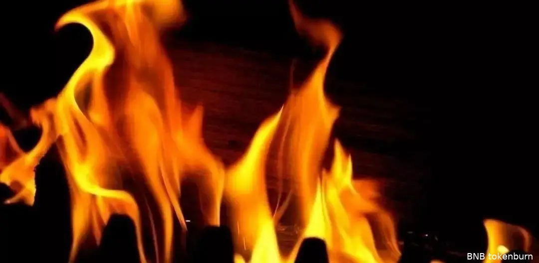 wanchain burn