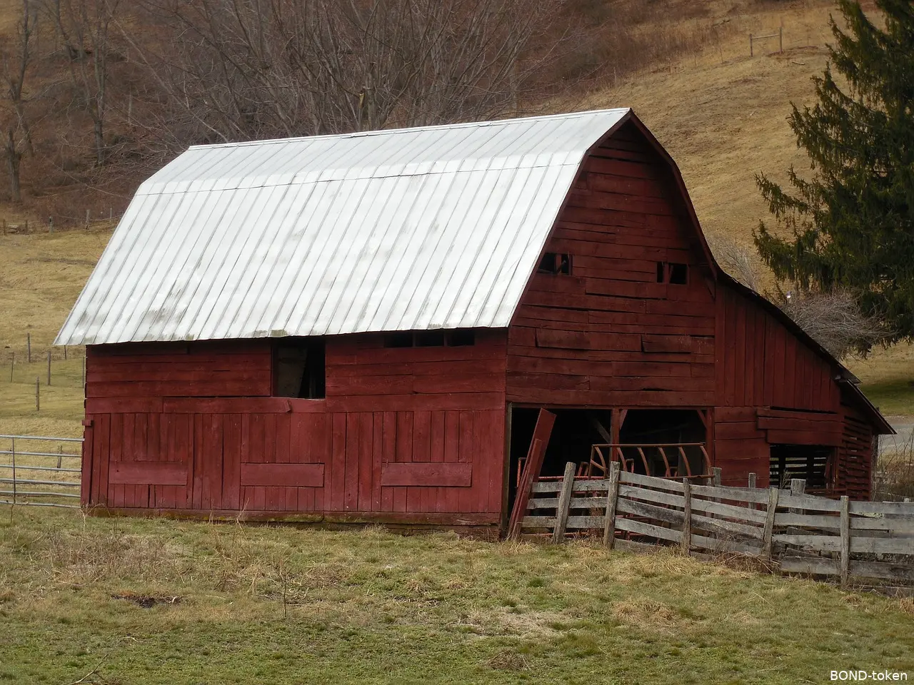 barnbridge