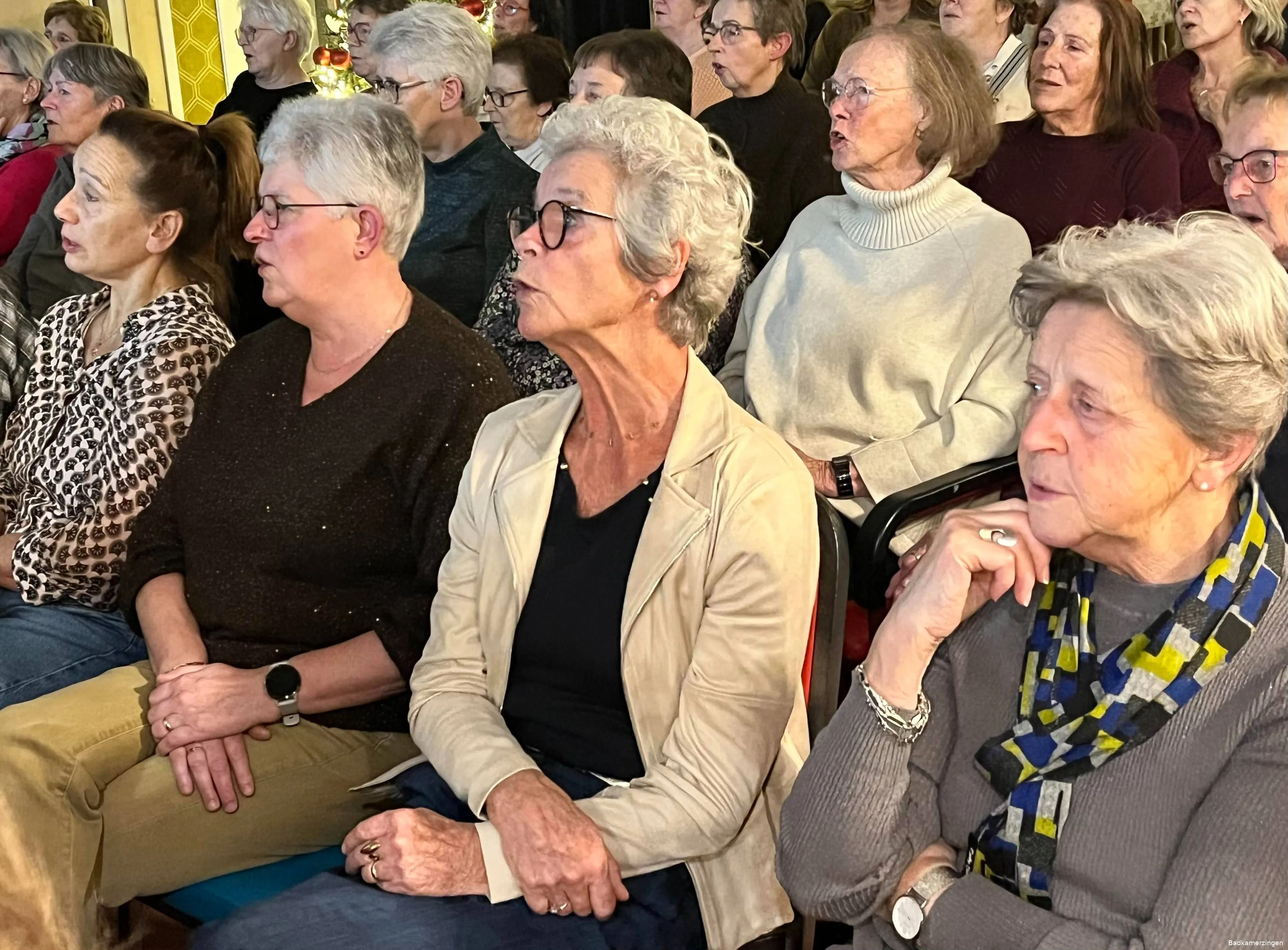 Badkamerzingen Vlijmen