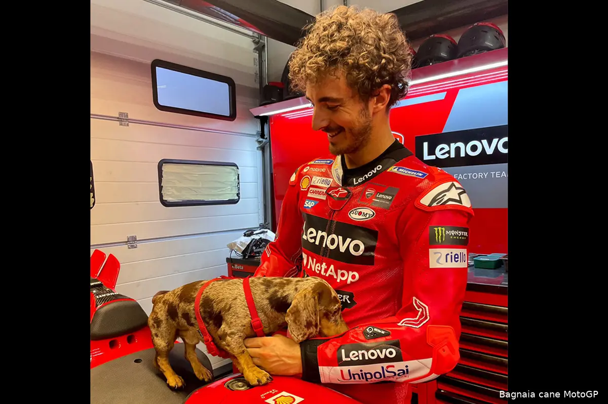 bagnaia e cane