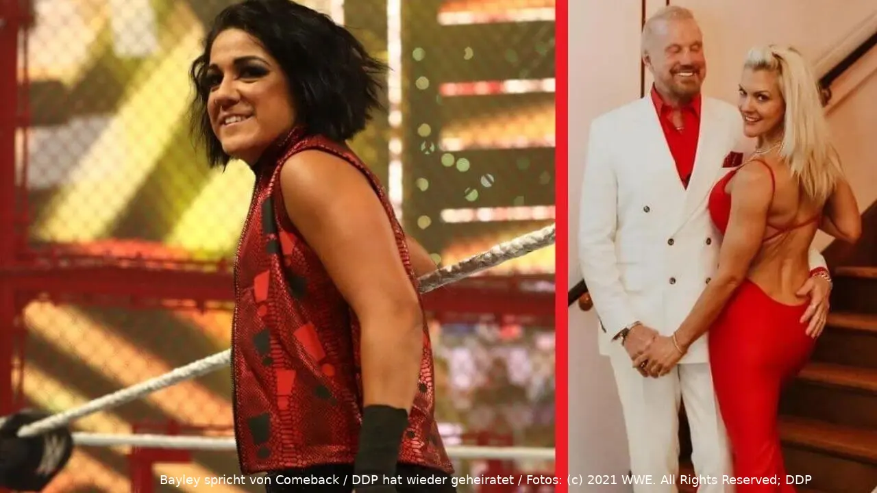 bayley ddp 1221