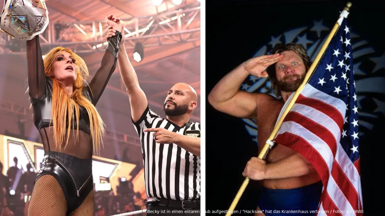 wwe news 130923