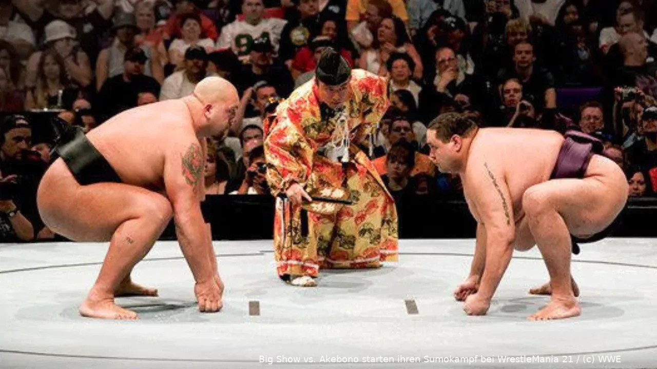 wwe wrestlemania 21 sumo