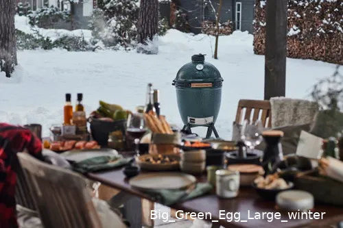 big green egg large winter