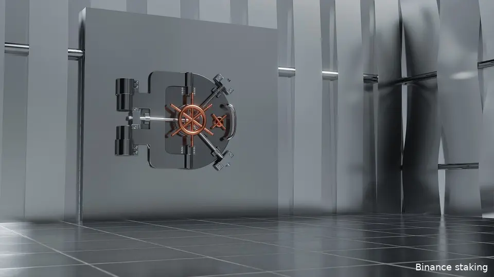 binance vault