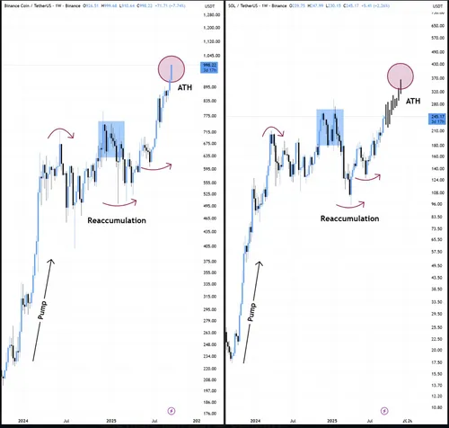 BNB SOL grafieken - BitBull