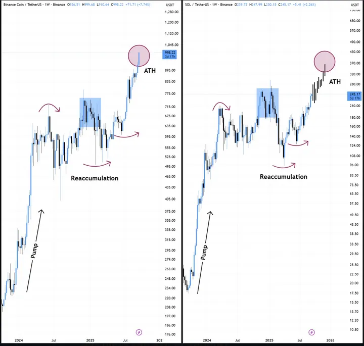 BNB SOL grafieken - BitBull