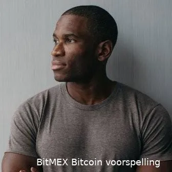 bitmex arthurhayes cryptobenelux