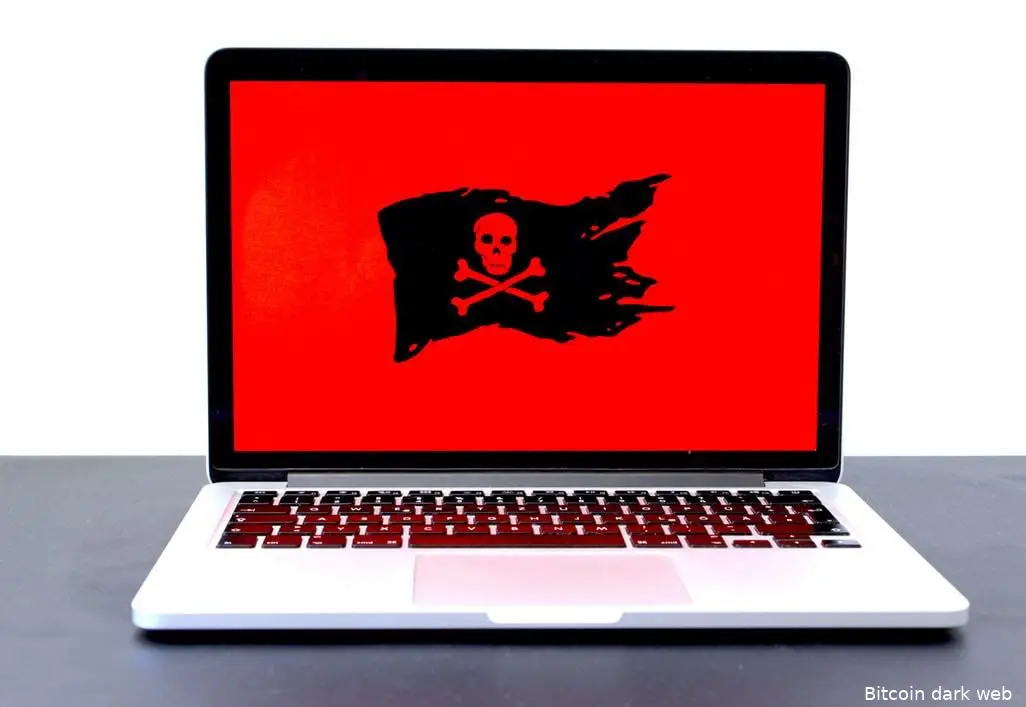 dark web drugsdealer verliest 17k bitcoin cryptobenelux