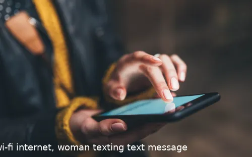 whatsapp online status