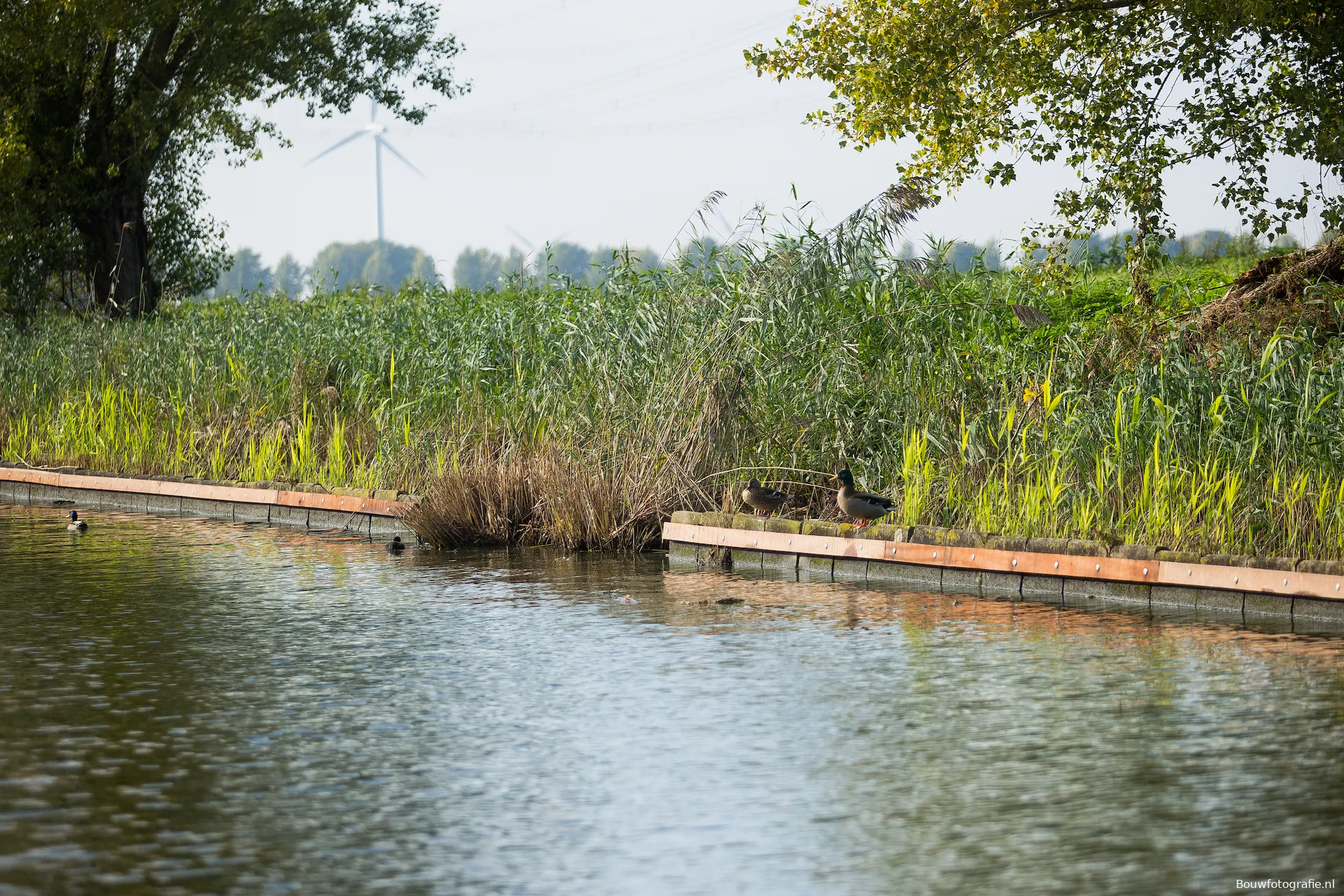 werkzaamheden oever hoge vaart 5 fotograaf bouwfotografienl