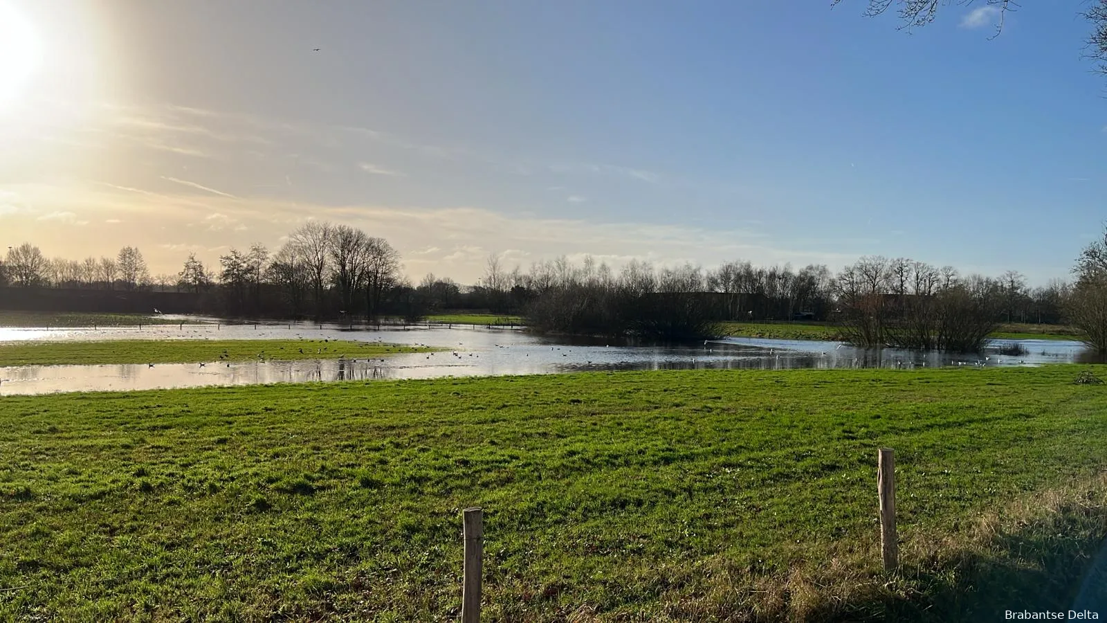 chaamse beek bij ulvenhout