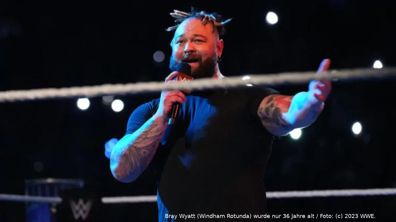 wwe bray wyatt