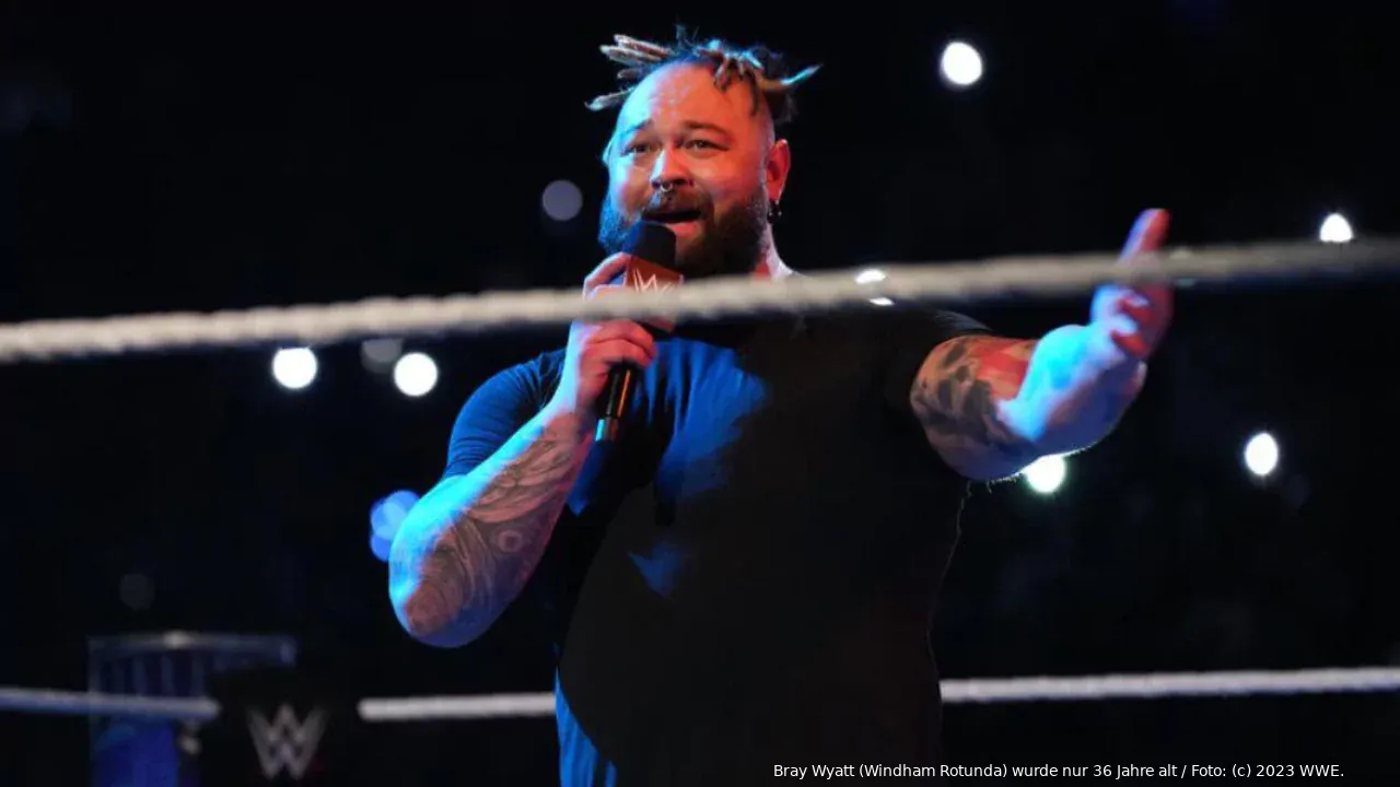 wwe bray wyatt