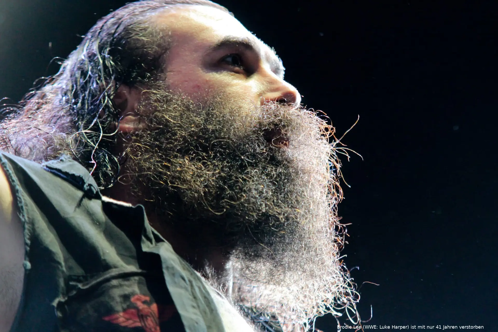 luke harper