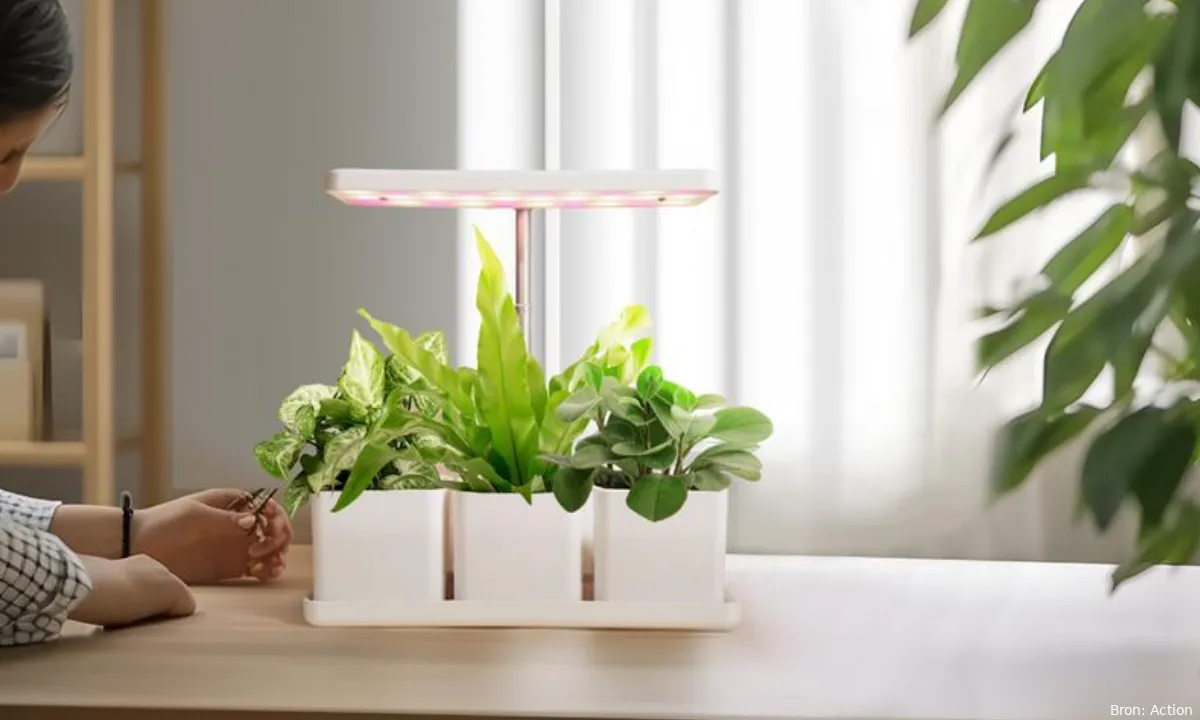 plantenbak lamp action
