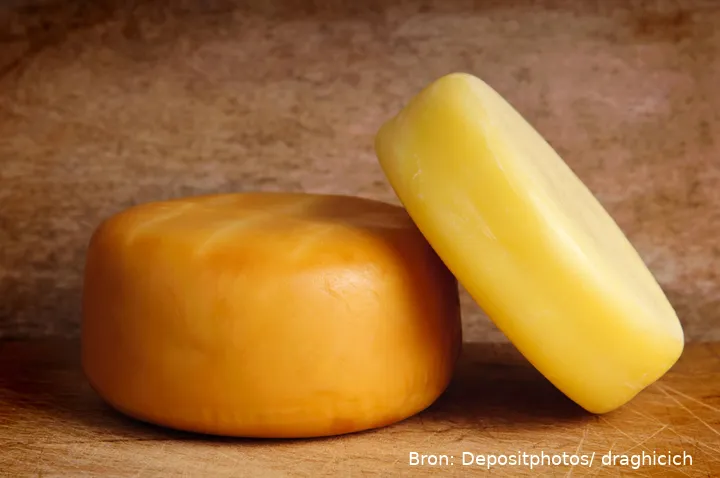 depositphotos 17824591 xl