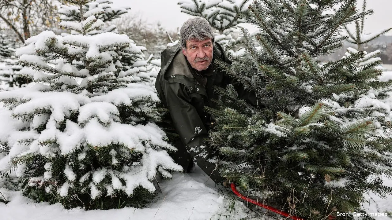 witte kerst 2025
