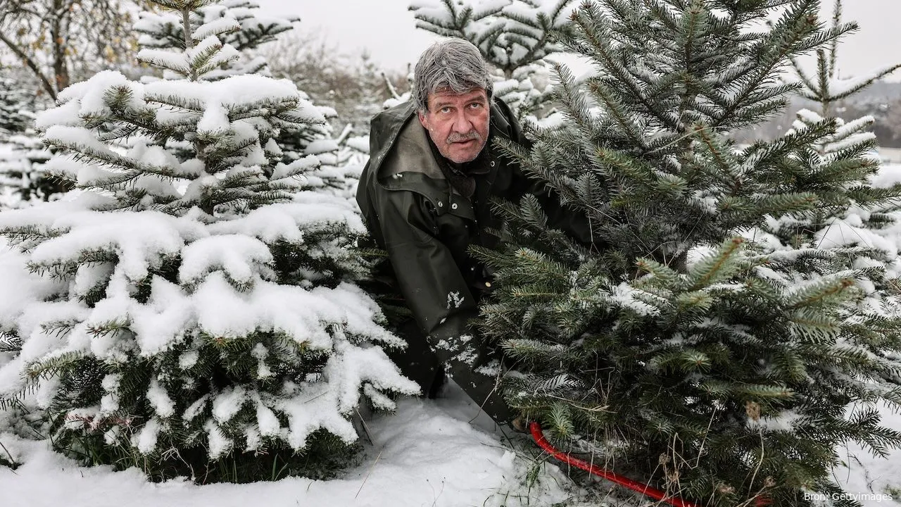 witte kerst 2025