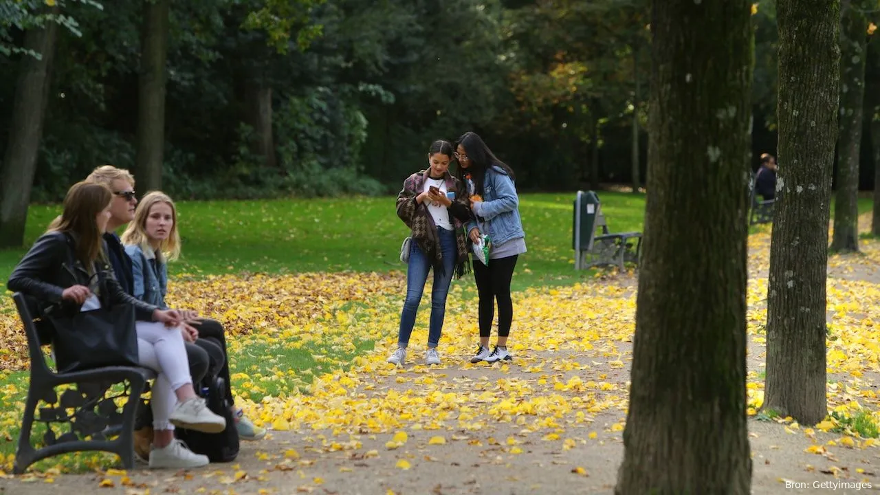 zon herfst