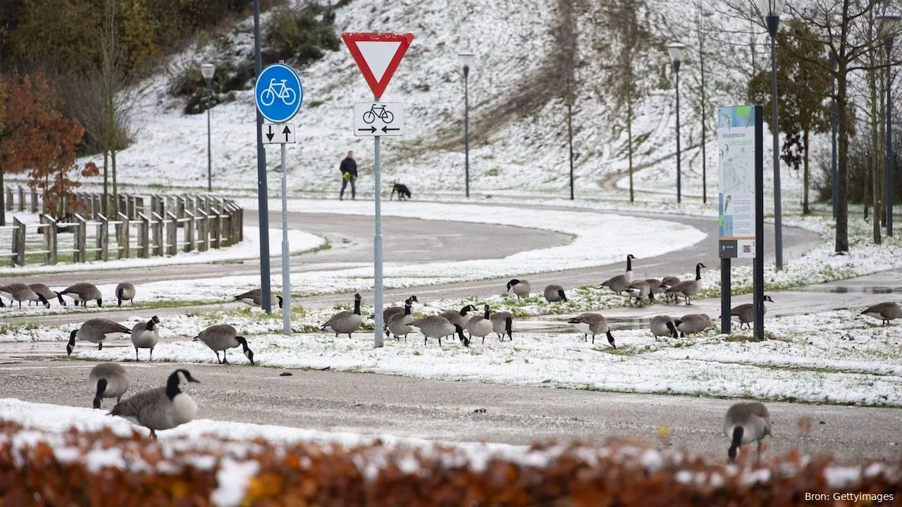 sneeuw nederland januari 2025
