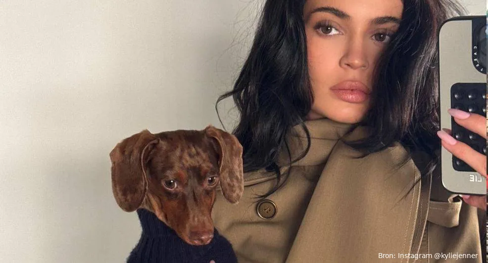 kylie jenner en timothee chalamet