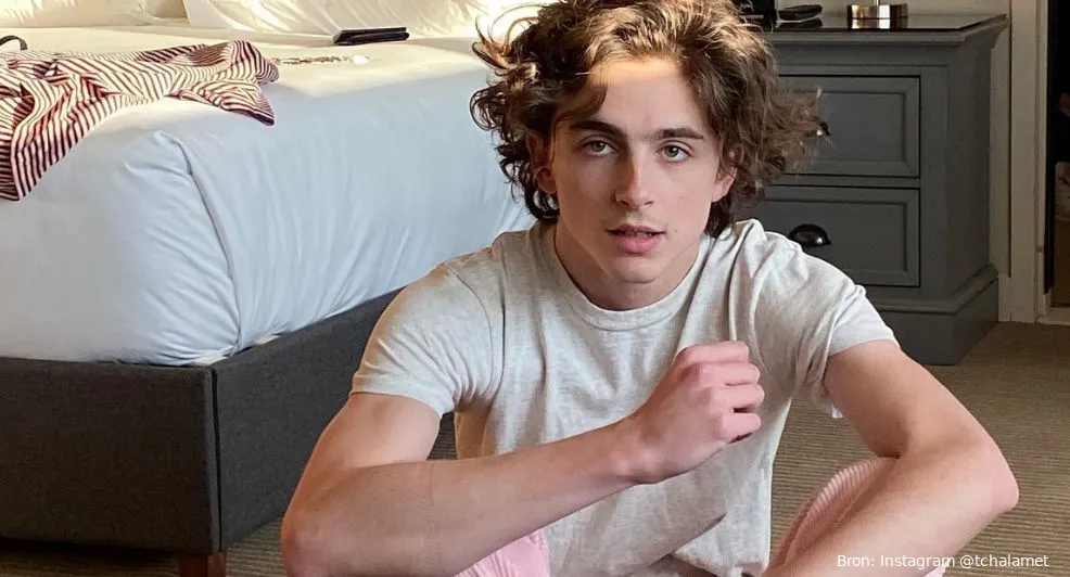 timothee chalamet
