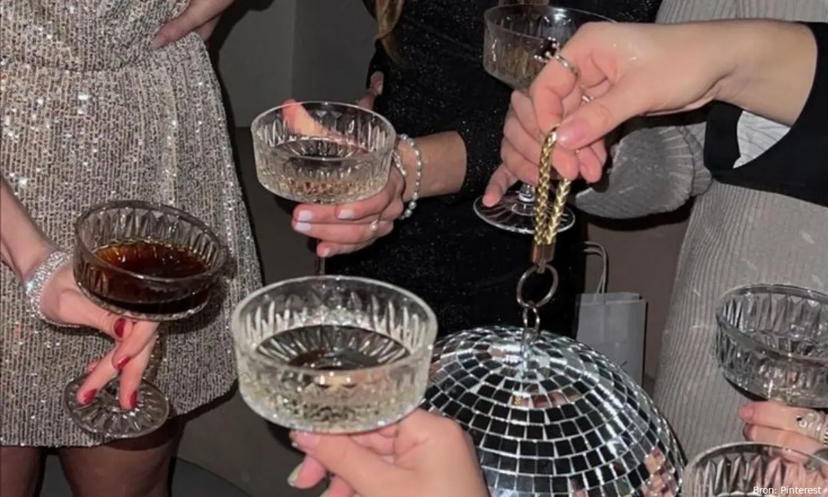oud en nieuw partyguide