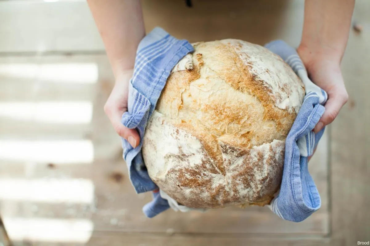 brood eten voedsel