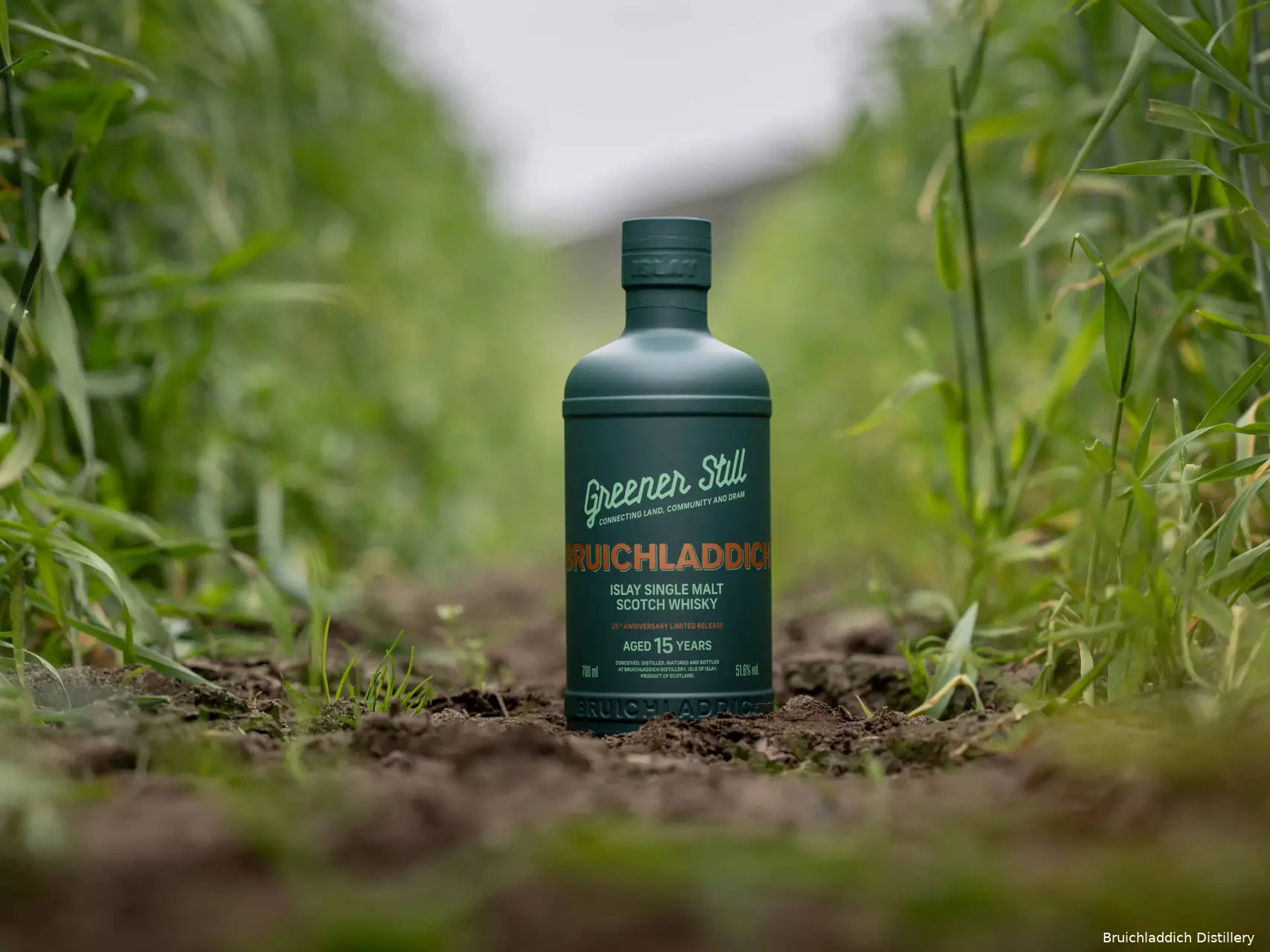 Bruichladdich Greender Still whisky 15 year old (1)