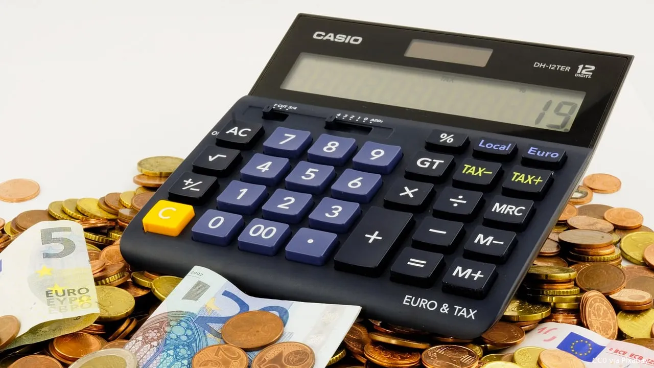 euro bezuinigen kosten calculator
