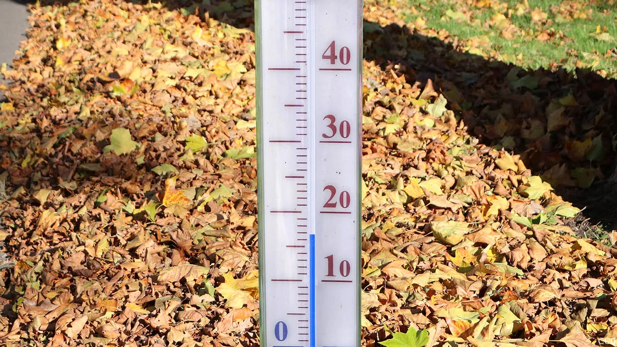 thermometer 167 graden herfst gevallen bladeren bladvegen