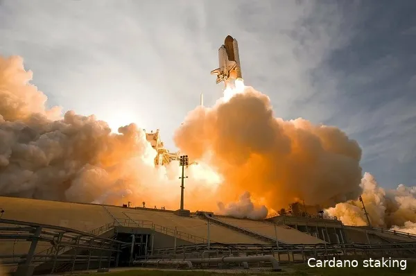 cardano shelley mainnet